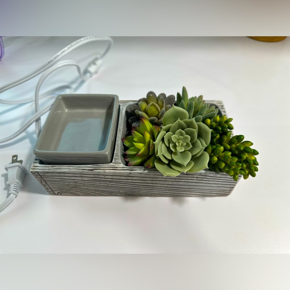 Succulent Scentsy Warmer